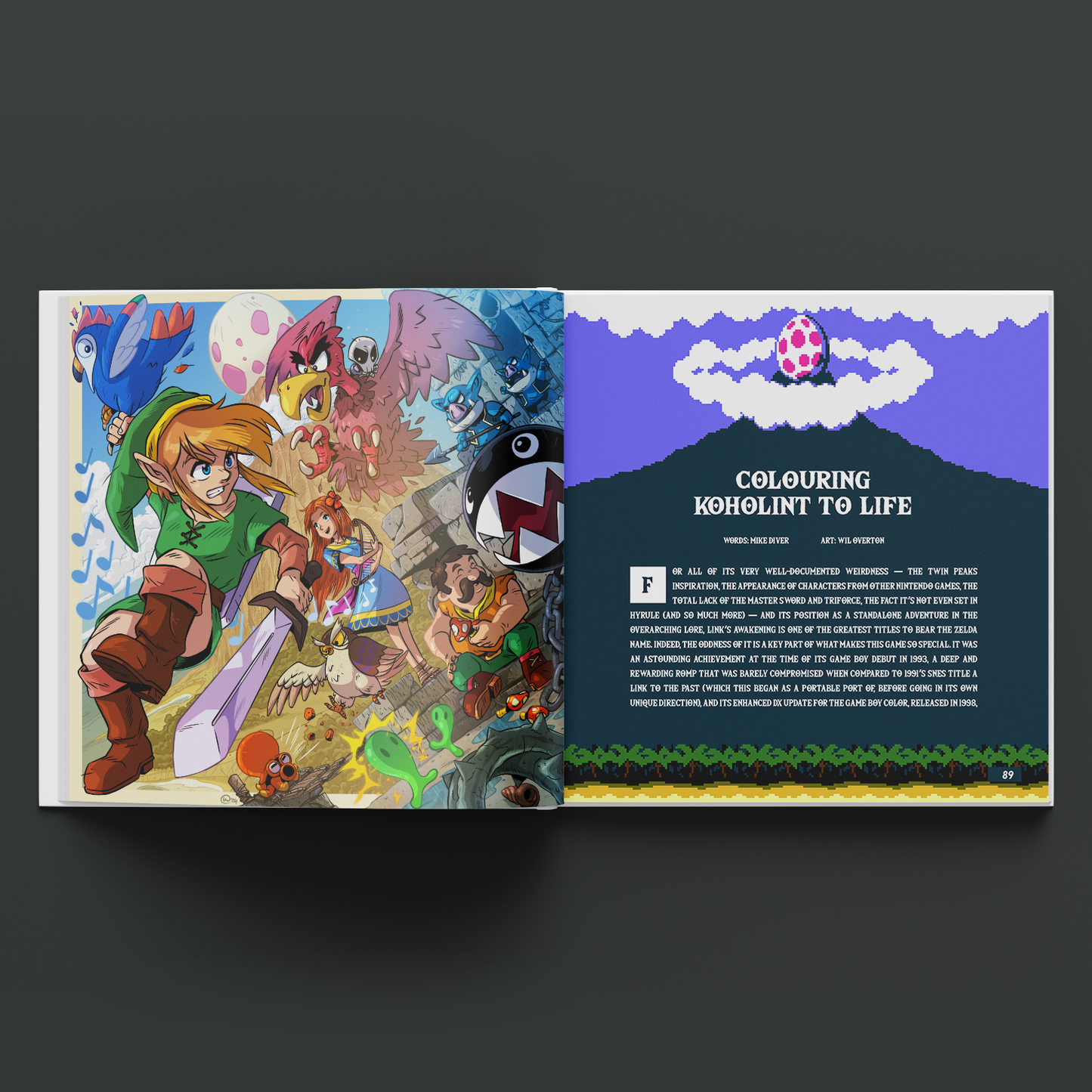 GAMEBOOK COLOR (STANDARD EDITION)
