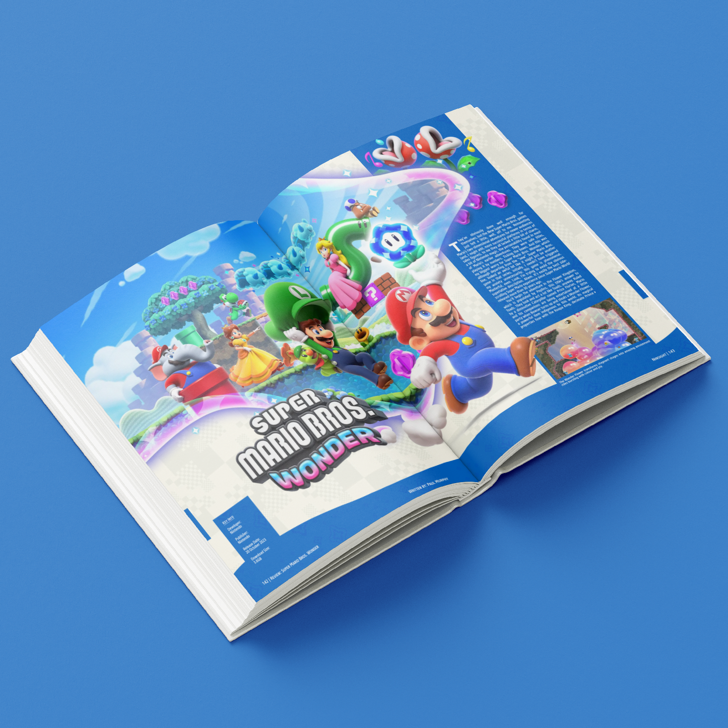 Ninsight Issue Zero (R)